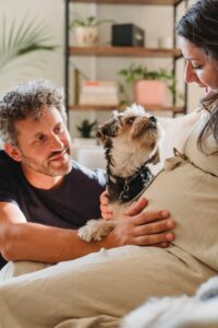Moving home when you're pregnant