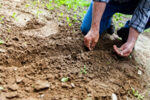 How to declutter your garden