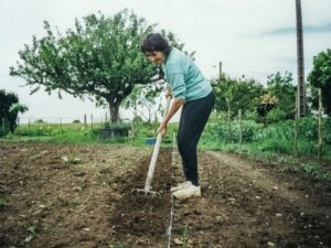 How to declutter your garden
