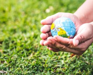 What we are doing to Invest in Our Planet