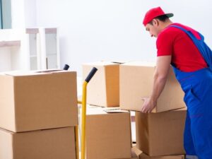 Excellent Storage to Removal Service with Your Needs?