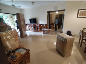 Excellent Storage to Removal Service with Your Needs?